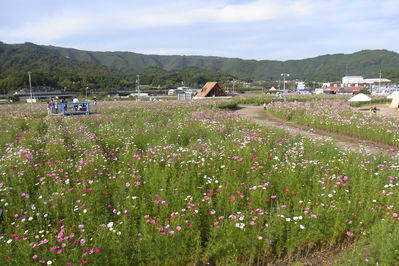 クリックでフルサイズの画像を表示